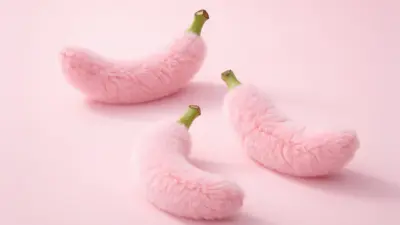 selove home 26 Best Sex Toys for Women