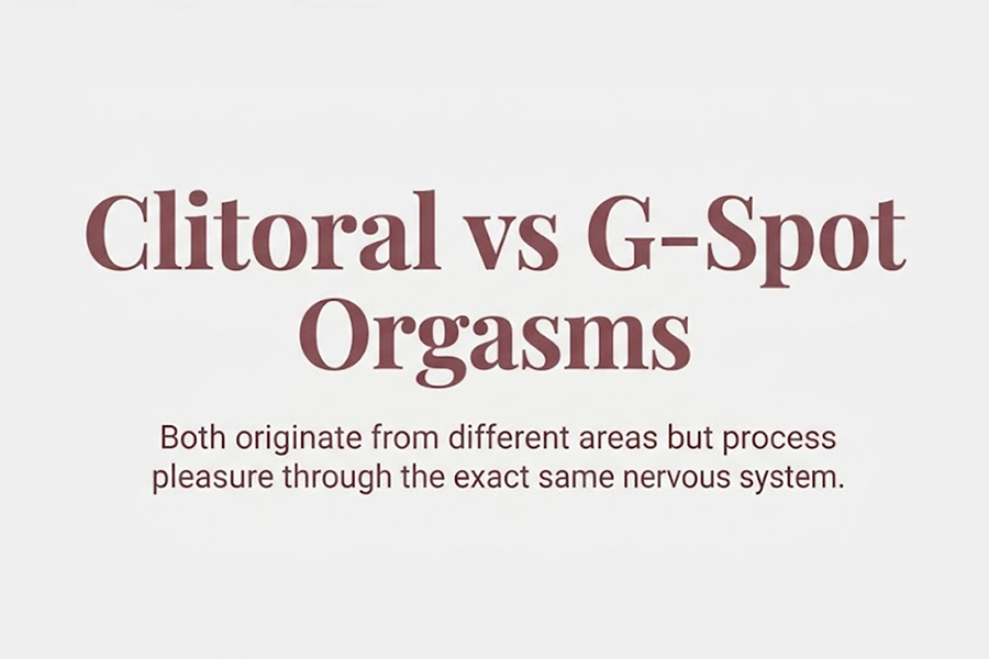 Clitoral vs G-Spot orgasms: What’s the Real Difference & How to Experience Both? 1 preview of Clitoral vs G-Spot orgasms
