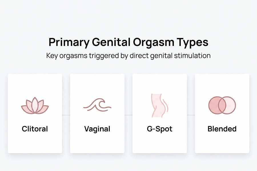 Types of Orgasms: Discover the 10 Ways Your Body Can Reach Pleasure 2 primary genital orgasm types