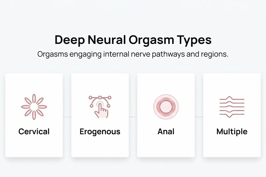 Types of Orgasms: Discover the 10 Ways Your Body Can Reach Pleasure 3 deep neural orgasm types